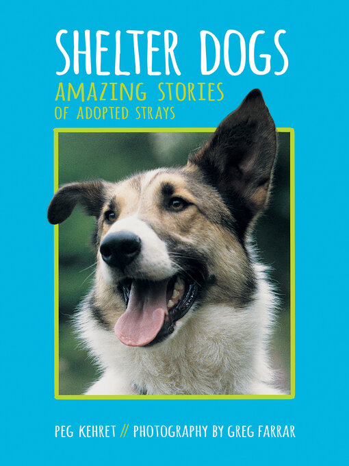 Title details for Shelter Dogs by Peg Kehret - Available